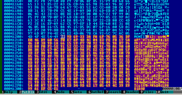 Monti Ransomware