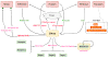 ZHtrap botnet