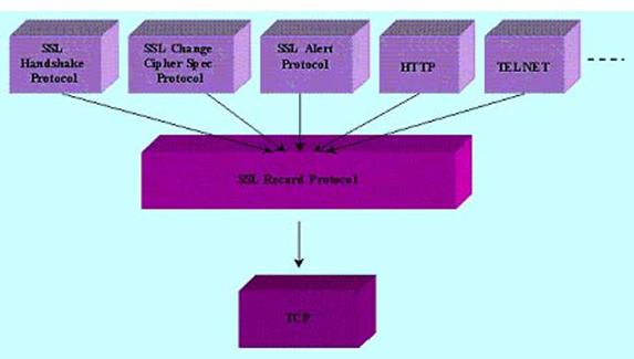 http://www.svetsiti.cz/technologie/2002/Ssl/ssl2.jpg